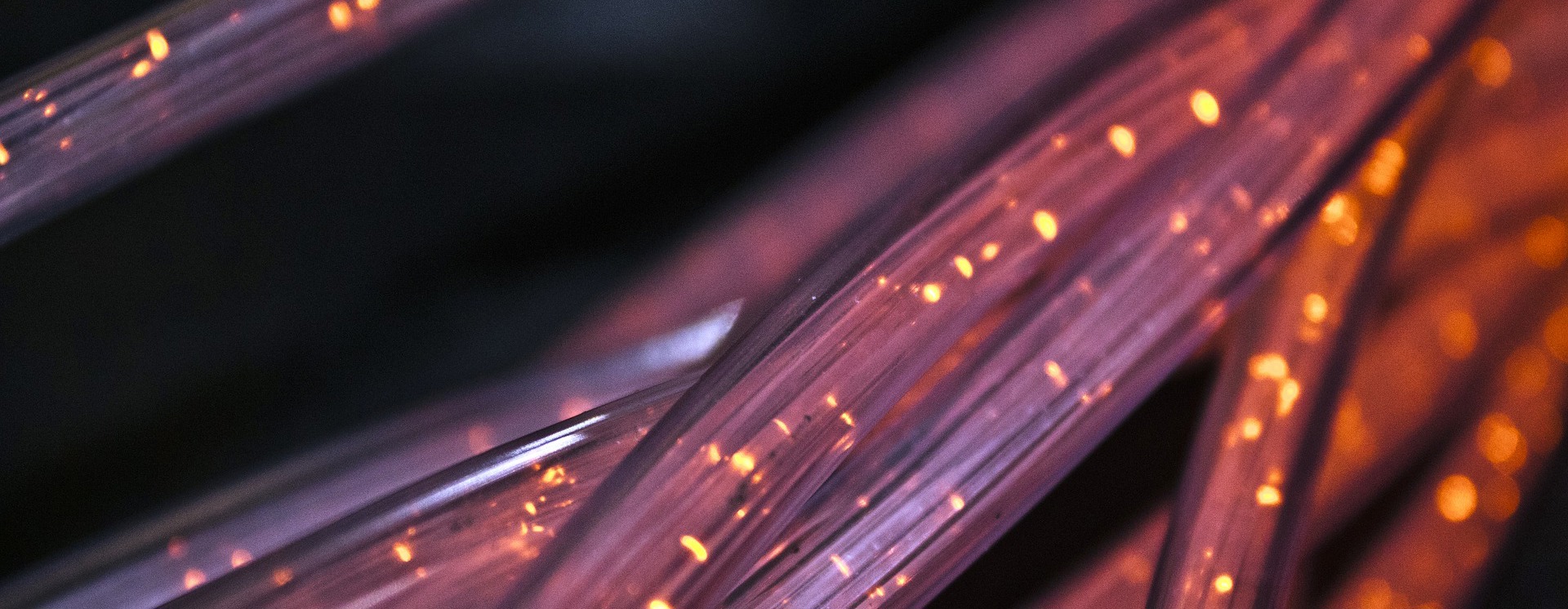 Närbild av fiberoptiska kablar med ljussignaler som symboliserar hög hastighet på datakommunikation, nätverksinfrastruktur och säker dataöverföring i modern IT‑miljö