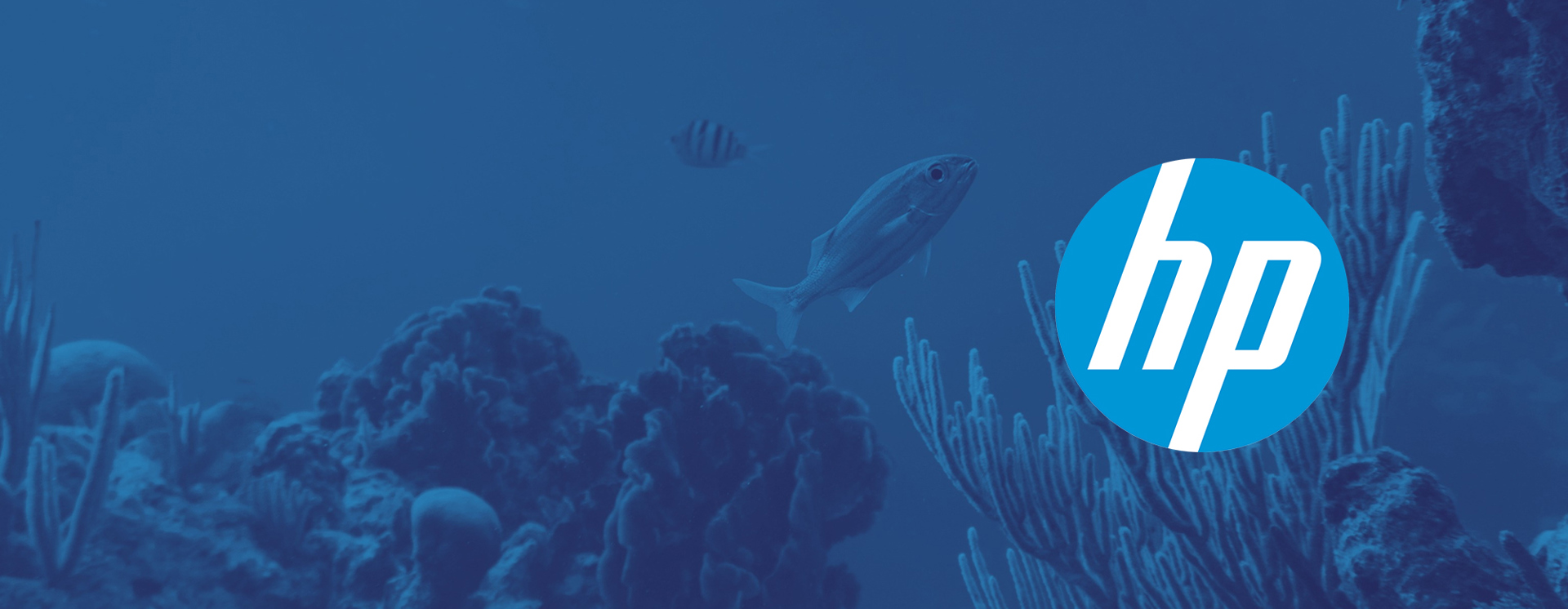 20230201 HP Kampanj 1