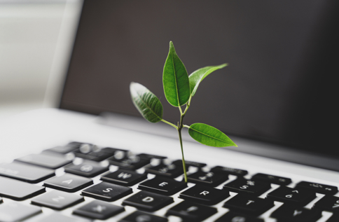 Liten planta växer ur tangentbord på laptop, symbol för hållbar IT, cirkulär ekonomi och miljövänlig teknik