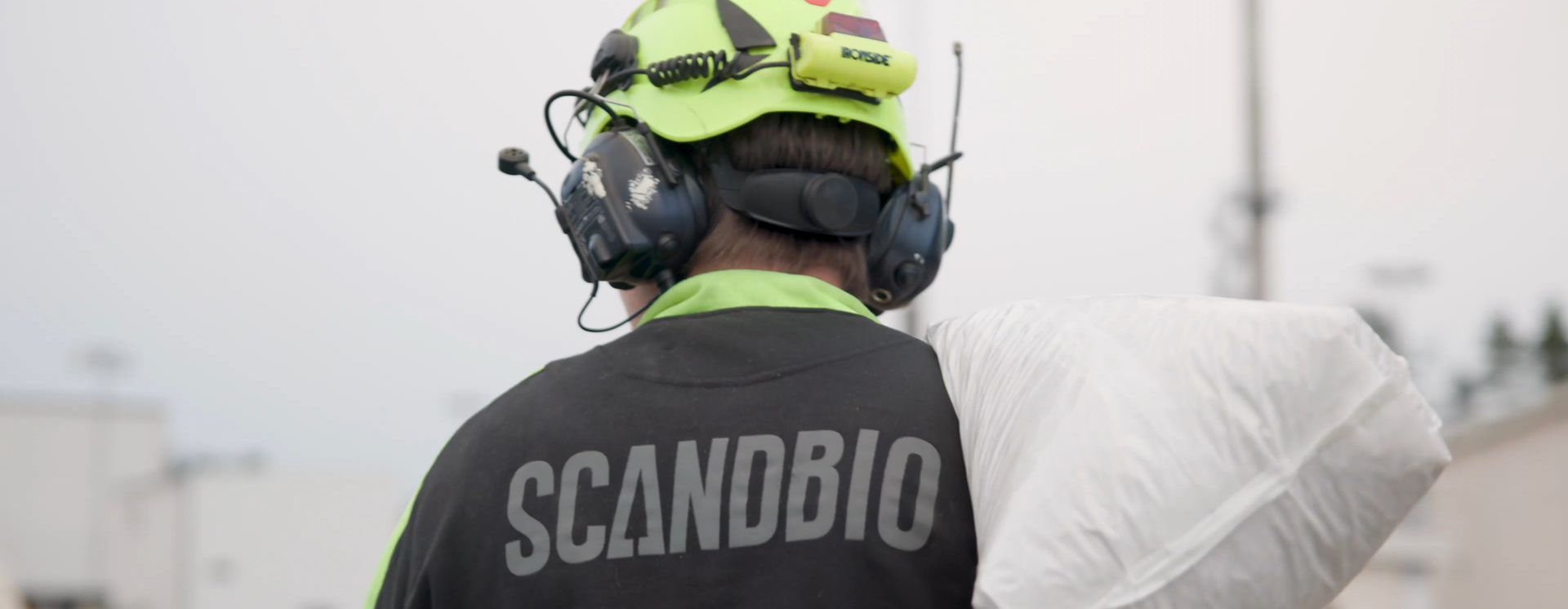 Scandbio 29
