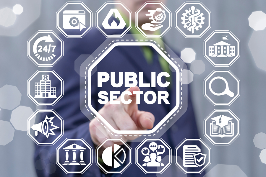 Person pekar på en digital symbol med texten “Public Sector”, omgiven av ikoner som representerar bland annat vård, utbildning, juridik och samhällstjänster